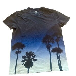 Hollister Short Sleeve Must Have Collection T-Shirt - Mens Size XS Blue